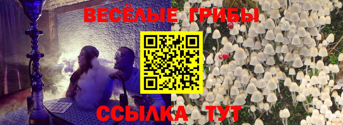 Псилоцибиновые грибы мухоморы  Вход с VPN  дарнет шоп  Омск 