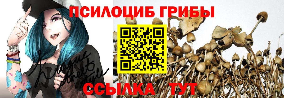 Псилоцибиновые грибы ЛСД Омск
